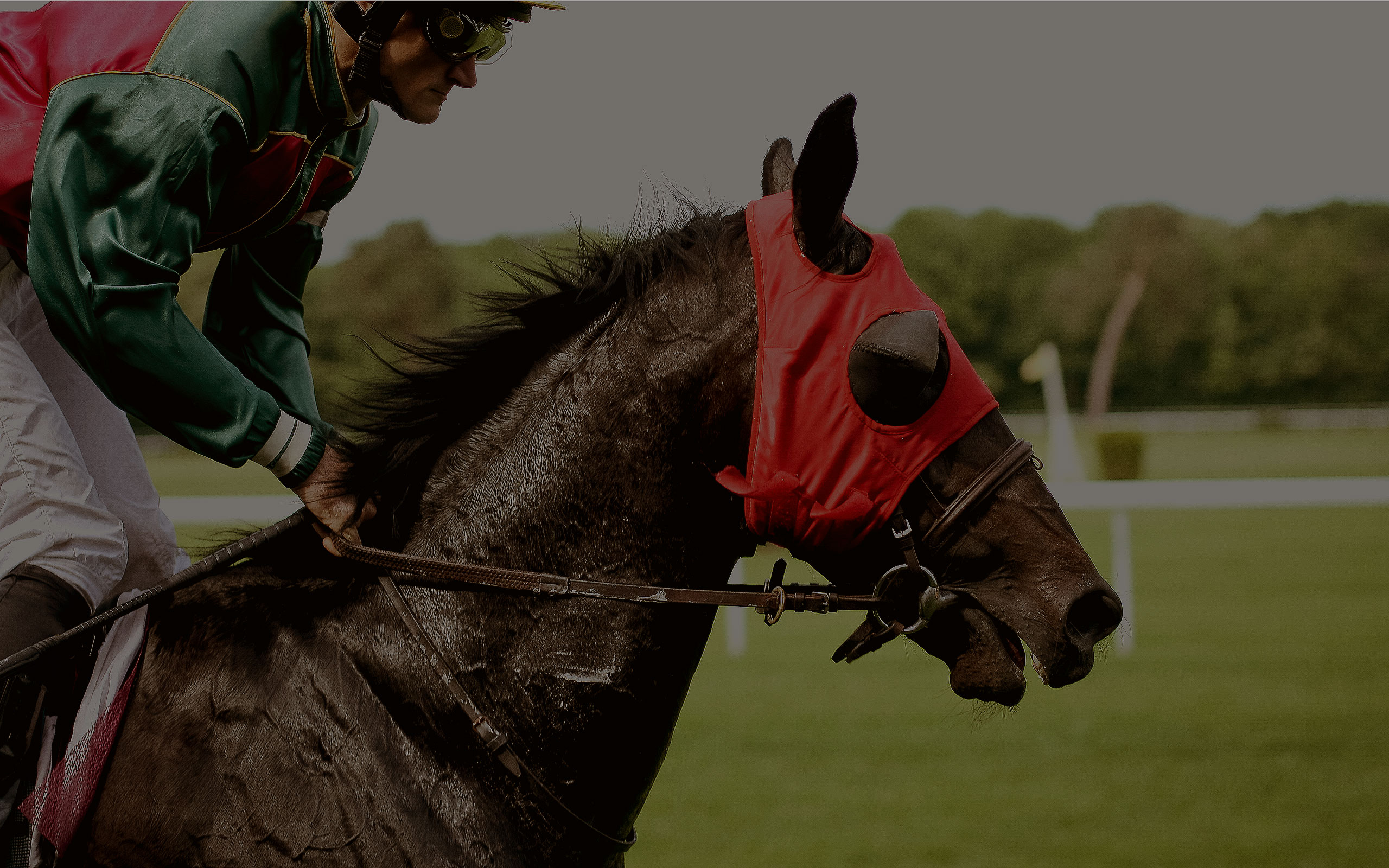 Suscribete al canal <span class='red'>♥</span>  :)